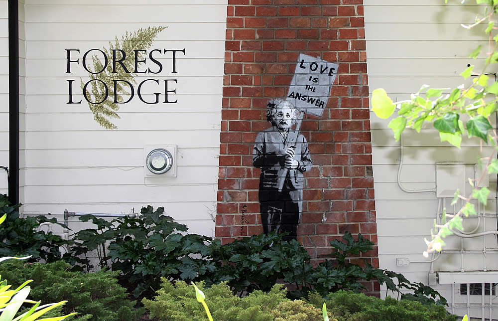 carmel bed and breakfast forest lodge with Einstein artwork on fireplace bricks