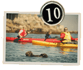 monterey county top ten things to do