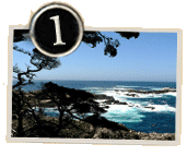 monterey county top ten things to do